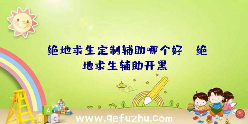 「绝地求生定制辅助哪个好」|绝地求生辅助开黑